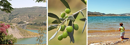 Iznajar Andalucia Spain Beach Olive Groves Hotel Estate Agency Property Sales and Rentals Iznajar Andalucia Spain Beach Olive Groves Hotel Estate Agency Property Sales and Rentals